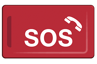 eCall. Press the SOS button if your vehicle has one.
