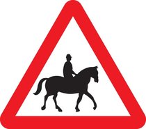 ​Accompanied horses or ponies